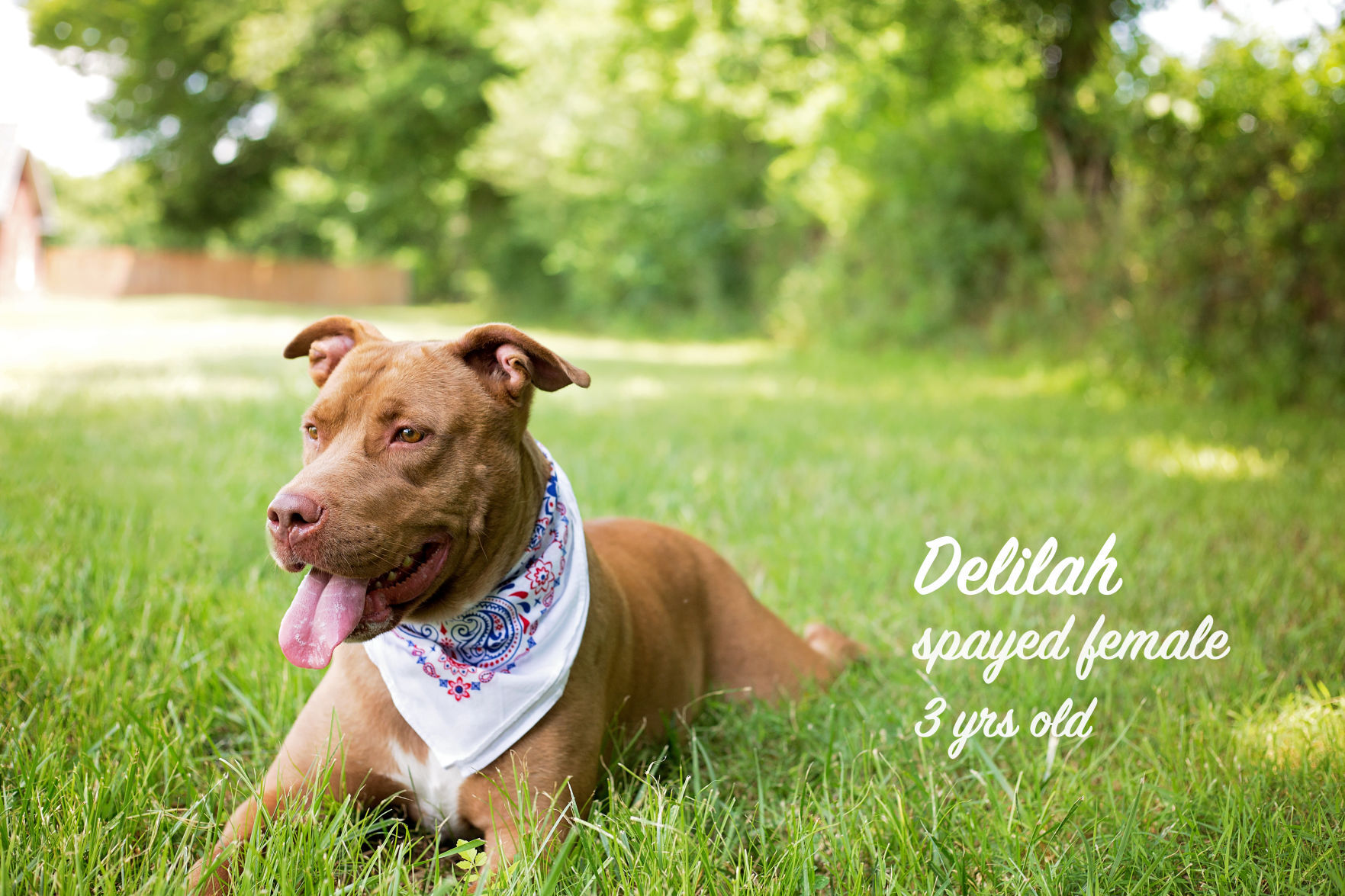 Delilah